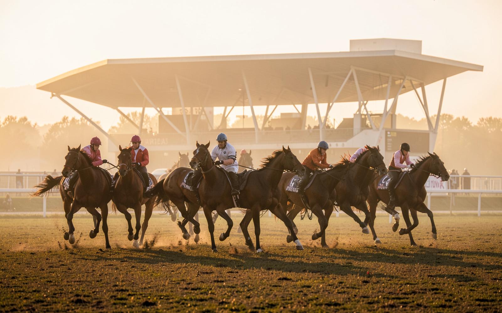 Racehorses galloping on a misty Warsaw turf track in front of the grandstand